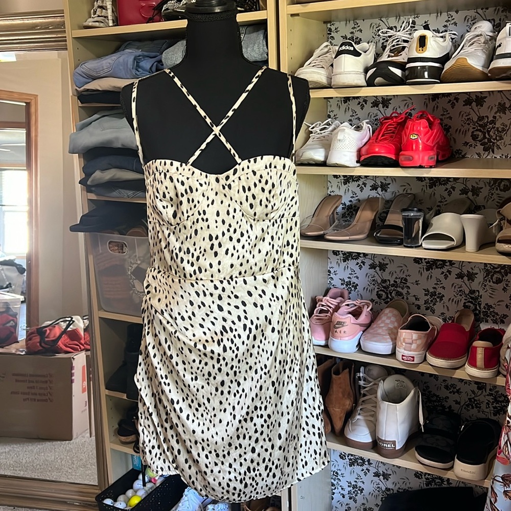 NWT Zara